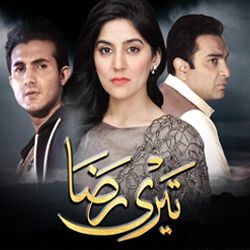 Teri Raza -  ARY Digital Exclusive Drama