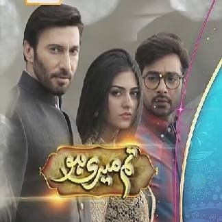 Tum Meri Ho - Exclusive Ary Digital Drama