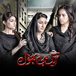Ek hi Bhool - ARY Digital Exclusive Drama