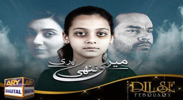 Meri Nanhi Pari | OST | Singer: Waqar Ali |