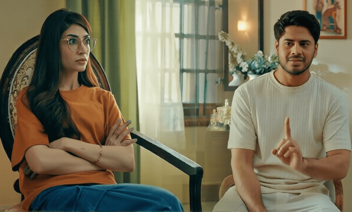 Why Shehreen and Shayan are the Villains We Love to Hate