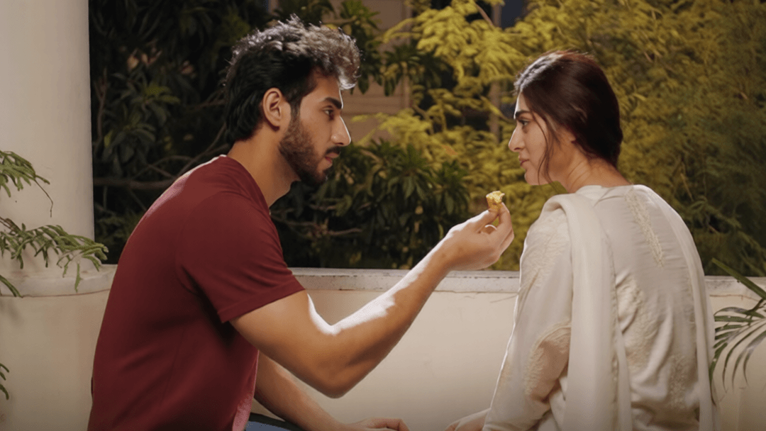 Why Mirza is the Husband We All Need in Mirza Ki Heer