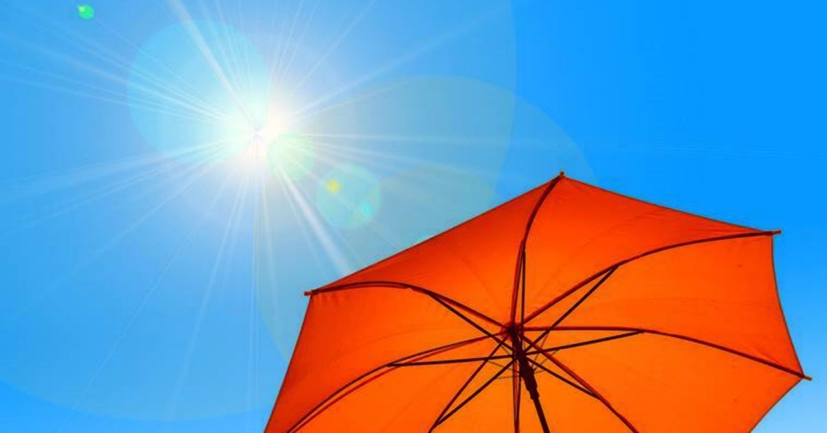 Help people, animals and plants this summer in these 6 ways