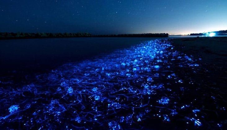 Pakistani beach depicting Heaven.