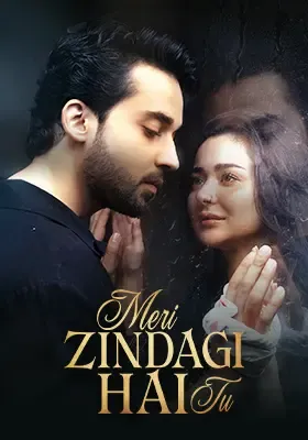  MERI ZINDAGI HAI TU | OST