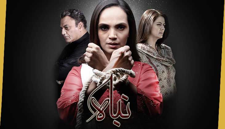 "Nibah" starting tonight at 8 PM!