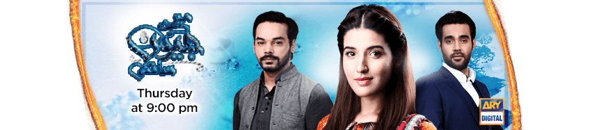 Mere Jevan Sathi - A new love story