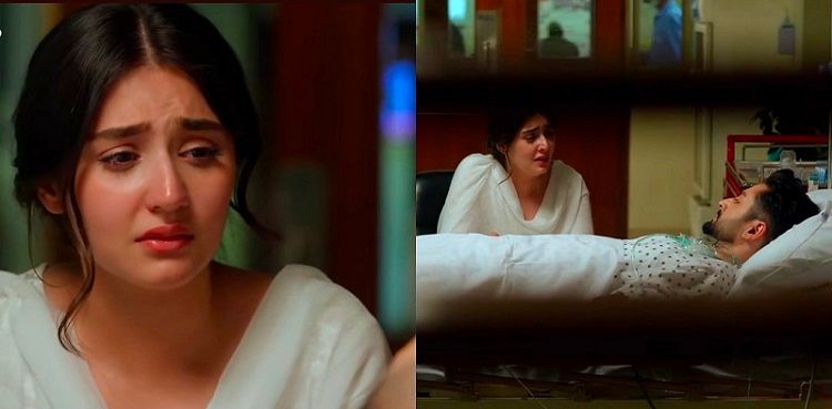 Fans in tears as 'Kaisi Teri Khudgharzi' ends on an emotional note