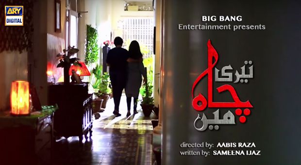 Teri Chah Main OST | Title Song By Farhan Saeed | With Lyrics